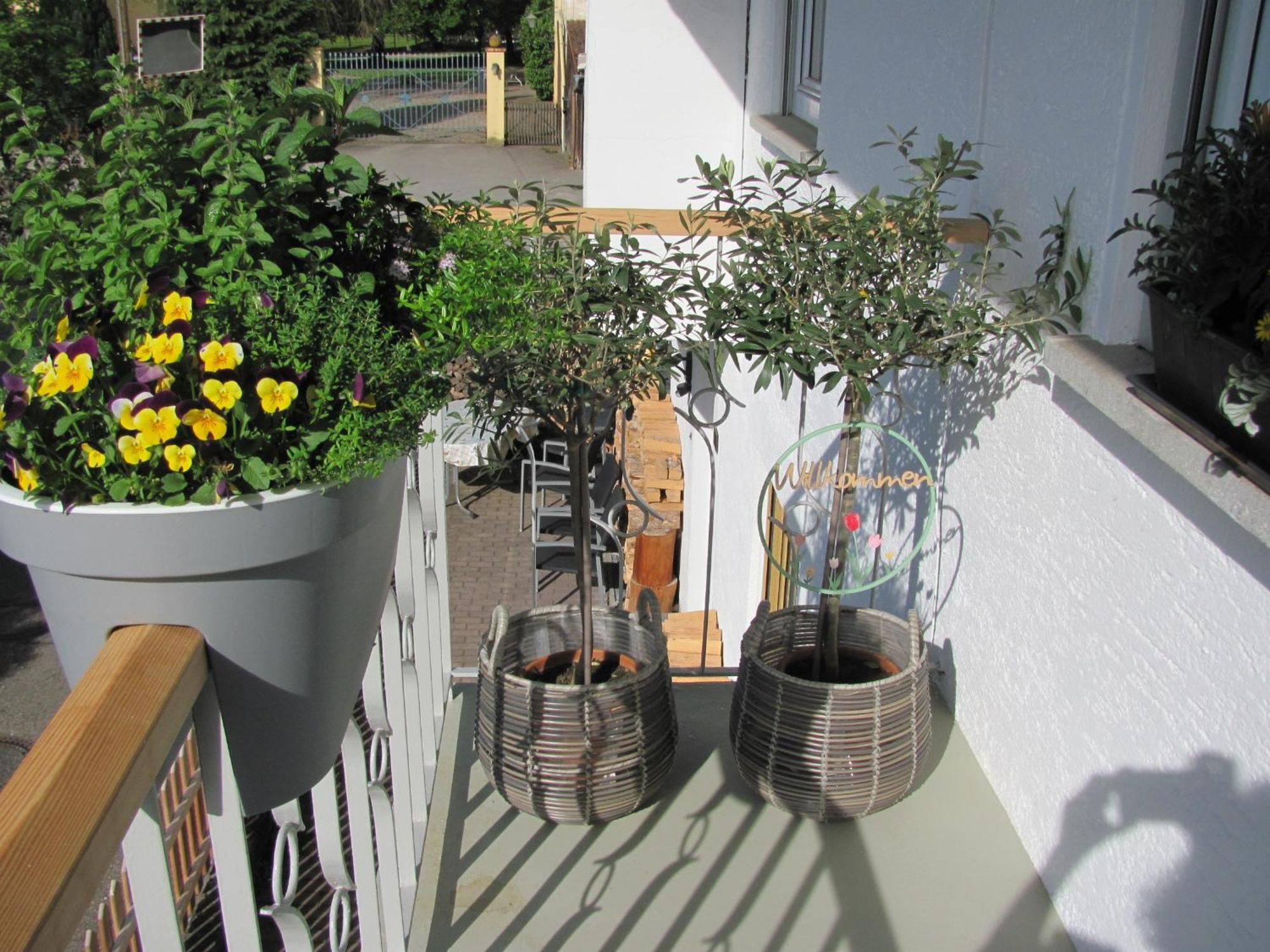 #1Gemuetliches Ruhiges Sonniges Balkonzimmer Mit Gemeinschaftsbad W-Lan Airport Nah Late Night Check In Haus Nr 9,5 Trunkelsberg Dış mekan fotoğraf